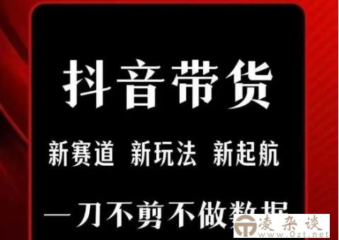 抖音短视频一刀不剪带货，不剪辑，不直播，每天发个视频，等着出单获取带货佣金