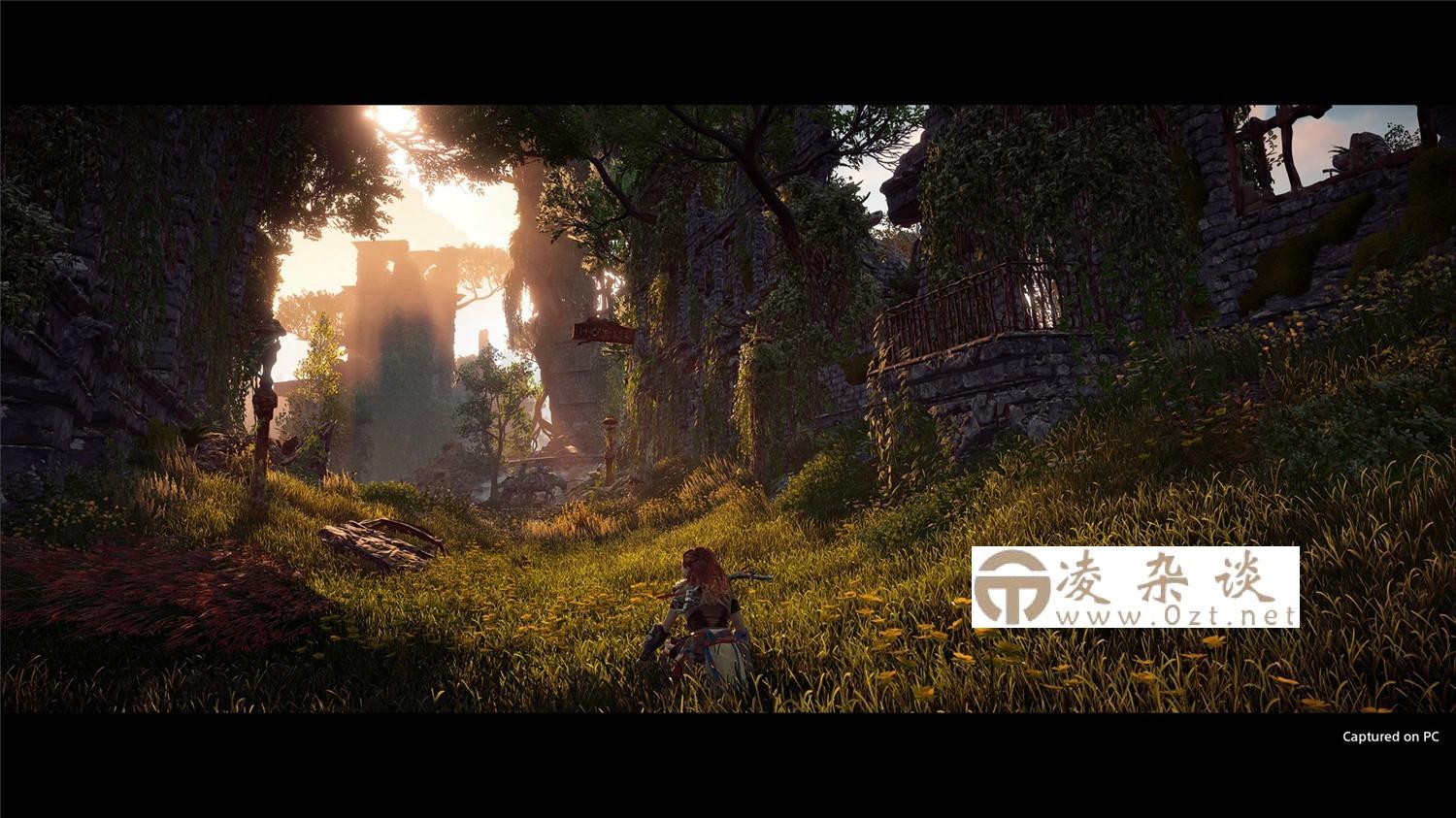 《地平线：零之曙光》v1.0.11.14完全版-趣奇资源网-第7张图片