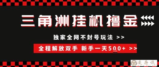 三角洲全自动挂G撸金，新手轻松一天5张+，无脑搬砖【揭秘】-凌杂谈