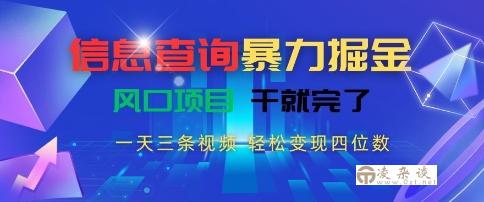 信息查询暴力掘金，一天三条视频，轻松变现四位数，风口项目干就完了【揭秘】-凌杂谈