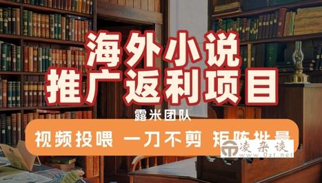 海外小说推广返利项目，视频投喂， 一刀不剪，矩阵批量-凌杂谈