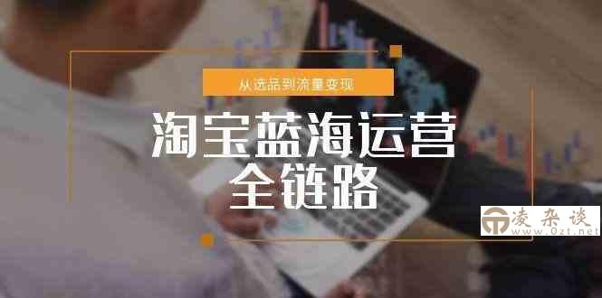 淘宝蓝海运营全链路，从选品到流量变现，小类目突围完整方案-凌杂谈