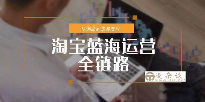 （15160期）淘宝蓝海运营全链路，从选品到流量变现，小类目突围完整方案-凌杂谈