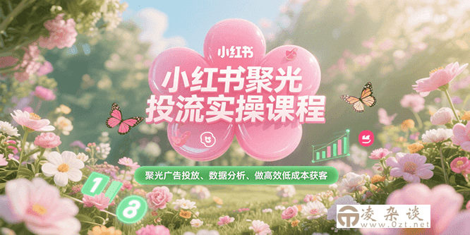 小红书聚光投流实操课程，聚光广告投放、数据分析、做高效低成本获客-凌杂谈