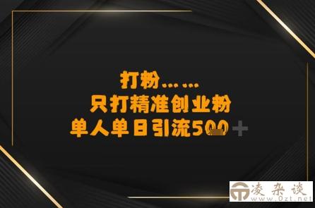 打粉只打精准创业粉，单人单日引流500+-凌杂谈
