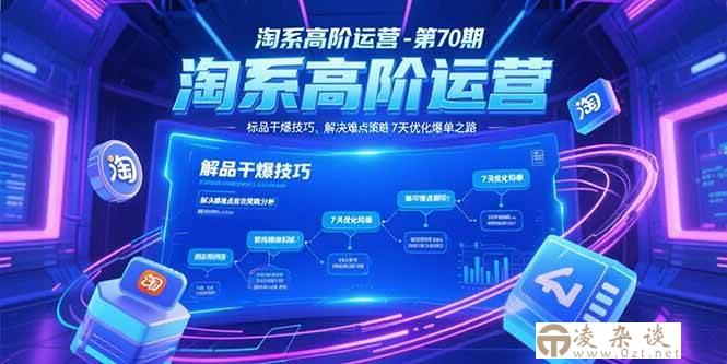 （15307期）淘系高阶运营-第70期，标品干爆技巧，解决难点策略，大佬操盘方法-凌杂谈