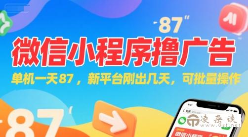微信小程序看广告，单机一天87，新平台刚出几天，可批量操作，日入5张-凌杂谈