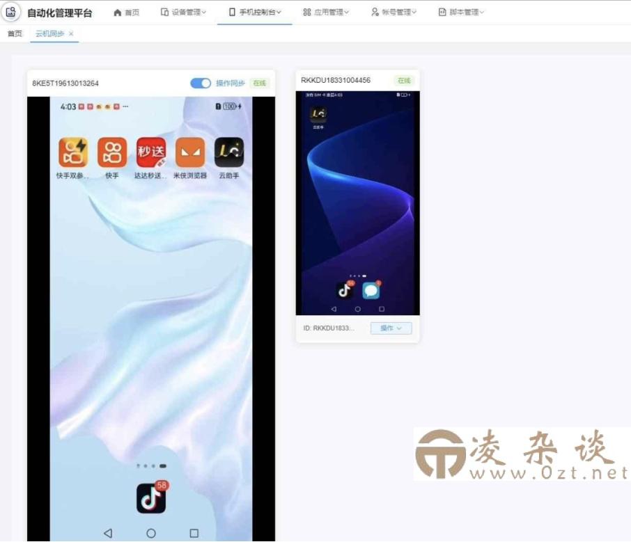 云手机群控系统源码 云手机多开群控 自动化管理程序源码-凌杂谈