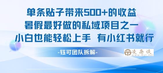 单条贴子带来5张的收益，暑假最好做的私域项目之一，小白也能轻松上手，有小红书就行-凌杂谈