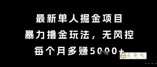 最新单人掘金项目，暴力撸金玩法，无风控，每个月多挣5k+【揭秘】-凌杂谈