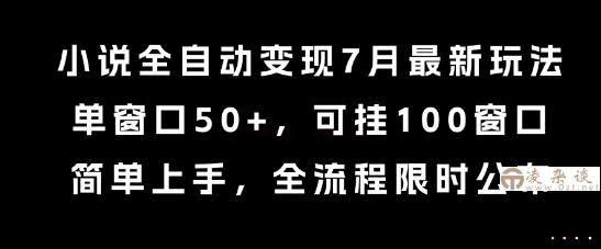 小说全自动变现7月玩法，单窗口50+，可挂100窗口，简单上手，全流程限时公布【揭秘】-凌杂谈