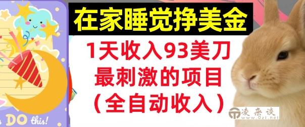 在家挣美金，1天收入93刀，最刺激的项目，0门槛，自动收入(首次公开)-凌杂谈