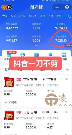 抖音短视频一刀不剪带货，不剪辑，不直播，每天发个视频，等着出单获取带货佣金-凌杂谈