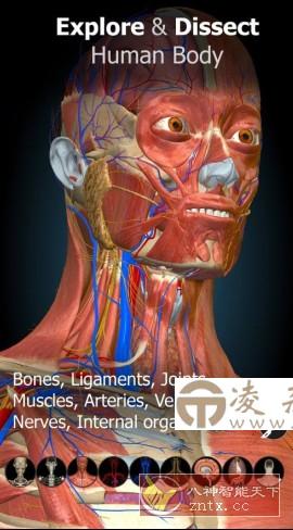 Anatomy Learning 3D解剖学v3.1.464高级版-凌杂谈