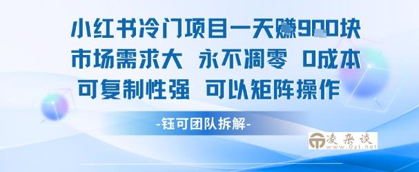 小红书冷门项目一天收益9张，市场需求大，0成本，可复制性强可以矩阵操作-凌杂谈